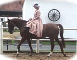 Präsentation der Reiterin im Damensattel mit Kostüm  -( Die Dame zu Pferd )