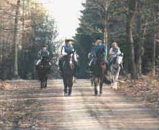 Ausritt in unseren W�ldern