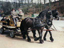 Aller Anfang ist schwer...