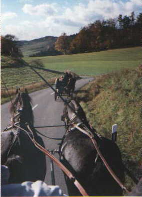 Blick des Fahrers vom Bock auf die Pferde