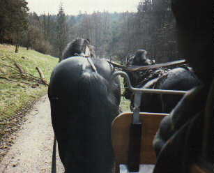 ...und so sehen es die Mitfahrer