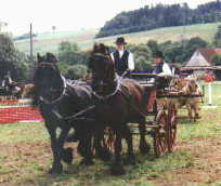 Fahren einer Dressuraufgabe auf dem Fahrplatz