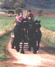 Zweisp�nner Pr�fungsfahrt im Gel�nde