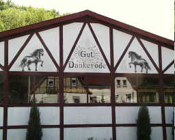 Friesenpferde am Giebel der Reithalle