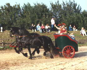 Zwei Friesen vor dem R�merwagen