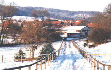 Blick zur Reithalle im Schnee
